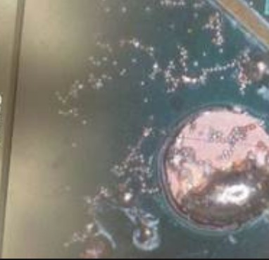 沐鸣2官网注册,全自动多功能贴片机