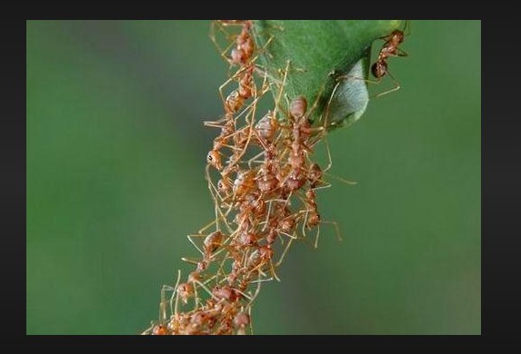 沐鸣2官方注册地址,沐鸣2注册